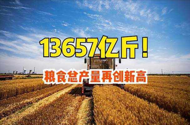 洛斯公司创1972年以来盘中新高